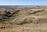 Grasslands-32.jpg