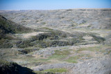 Grasslands-36.jpg
