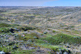 Grasslands-38.jpg
