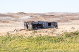 Grasslands-43.jpg