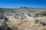 Grasslands-44.jpg