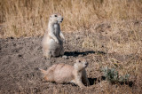 Grasslands-46.jpg