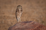 Grasslands-53.jpg