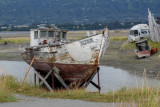 Homer-4.jpg