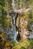 Jasper-15.jpg