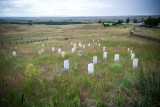 Montana Custer-3.jpg