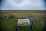 Montana Custer-4.jpg
