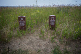 Montana Custer-5.jpg