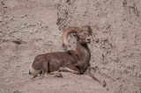 SD Badlands-66.jpg