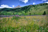 Waterton-19.jpg