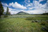 Yellowstone-6.jpg
