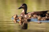 ALQ June 2018-6.jpg