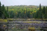 ALQ Fall 2018-57.jpg