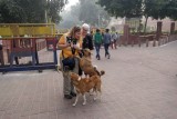 Agra-105.jpg