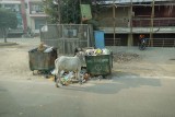 Agra-34.jpg