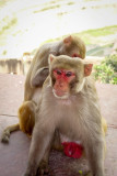 Agra-59.jpg