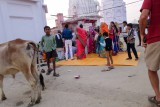 Chambal-29.jpg