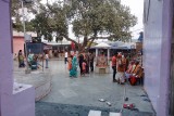 Chambal-46.jpg