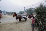 Chambal-58.jpg