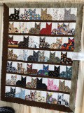 The  Cats Meow IMG_2741