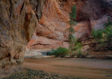 Coyote Gulch