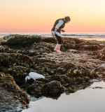 Hunting in the Tide Pools