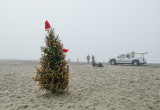 The Cardiff Tree by the Sea