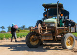 Working the Fields