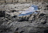 Cruising the Mudflats