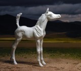 099 tail up Arabian foal resin Noelle by Pam deMuth.jpg
