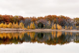 Autumn Reflection