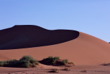 Sand Dune Sossusvlei