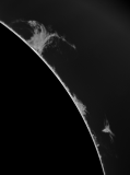 Solar prominences along limb - 30 minutes