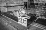 _R019001