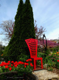 A Garden Seat