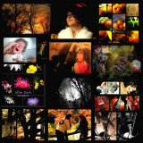 001 New Home Page Collage CHOICE.jpg