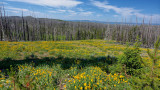 05333 Tetons RX10 III_dphdr.jpg