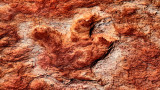 Tuba City Dinosaur Tracks DSC07832_dphdr.jpg