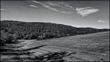 DSC00148 (Landscapes) B&W.jpg