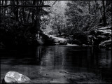 Frozen Balls Falls DSC02610 (Water) B&W.jpg