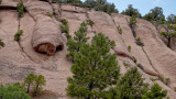 NEW09935 LESal Loop Road Moab_dphdr.jpg