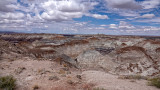 RIV02727 Petrified Forest Arizona_dphdr.jpg