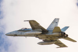 F/A-18 Hornet