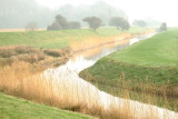 Arriving at the Royal Military Canal.