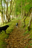 Max and  Beth on  the  trail  by  the wood.