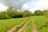 Looking  west  from  Borders  Farm