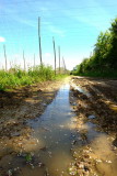 The  hop  fields  access  canal .looking  south.