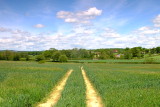 Looking  across  the  valley  to  Witherenden  Farm.