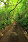 Looking  up  Washwell  Lane