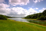 Reaching  the  shore  of  an  inlet .